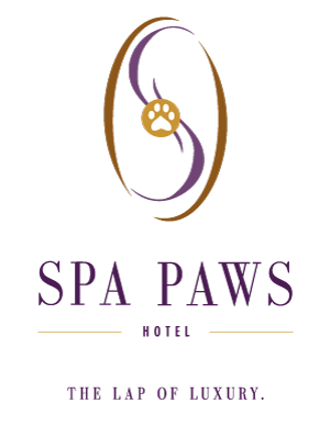 four paws hotel and spa