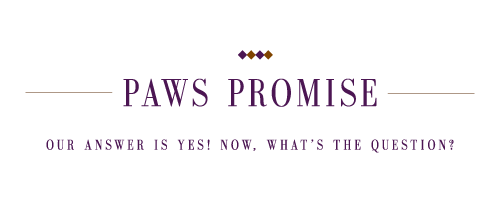 paws_promise
