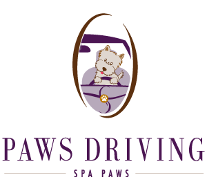 paws_driving_top