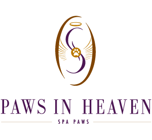 paws_in_heaven_top
