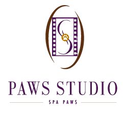 paws_studio_logo